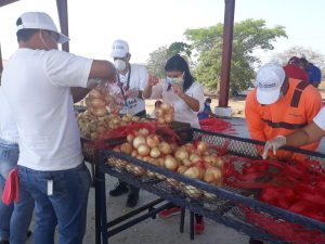 Funcionarios del Mitradel en provincias centrales apoyan el Plan Panamá Solidario