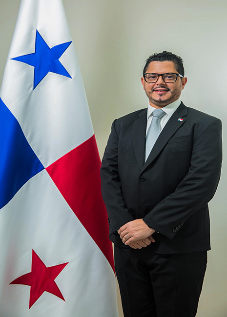 Viceministro Roger Tejada