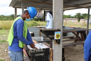 Inspectores verifican protocolos de sanidad en proyectos de construcción de Coclé