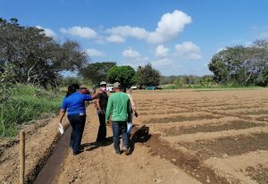 Realizan recorridos en zonas agrícolas y pesqueras para evitar el trabajo infantil