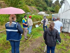 Mantienen vigilancia para prevenir trabajo infantil en zonas agrícolas chiricanas