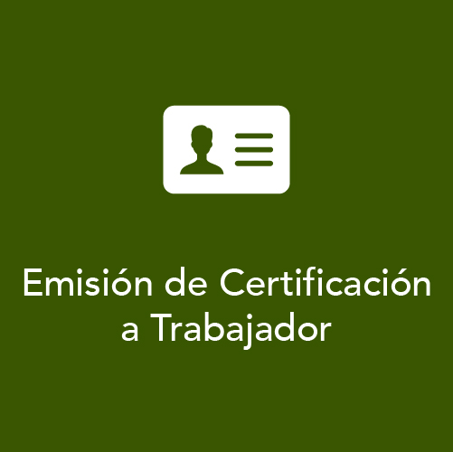 Certificacion Trabajador