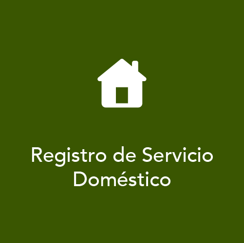 REGISTRO DE PERSONAS QUE REALIZAN TRABAJO DOMÉSTICO