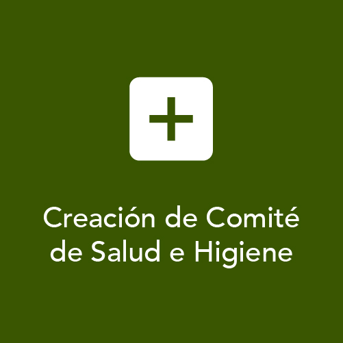 Creacion de Comite de Salud e Higiene