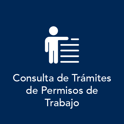 Consulta de Tramites de Permisos de Trabajo